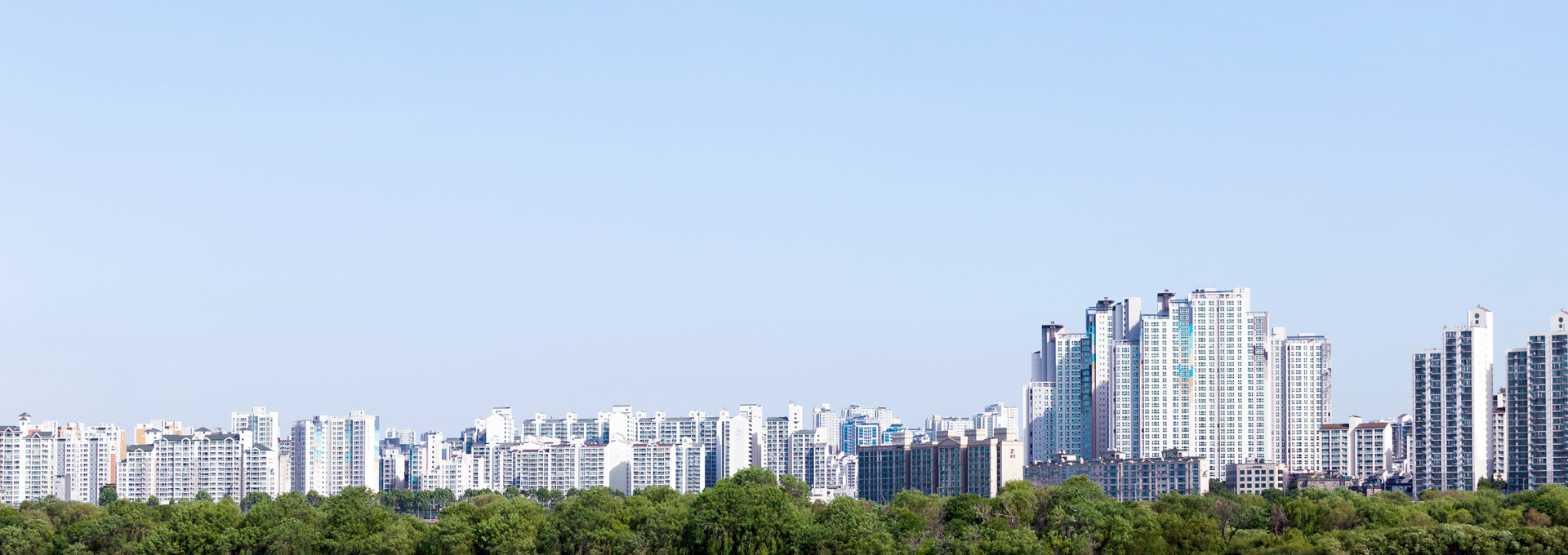 그래이집 상단 배경 이미지